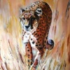 thumbnail Cheetah